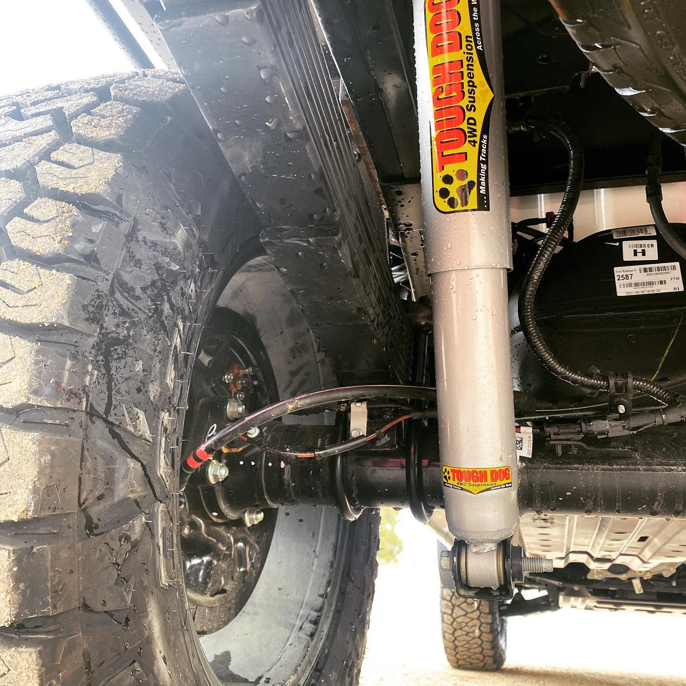 Rear Foam Cell Tough Dog Shock Absorbers Ford Ranger Next Gen