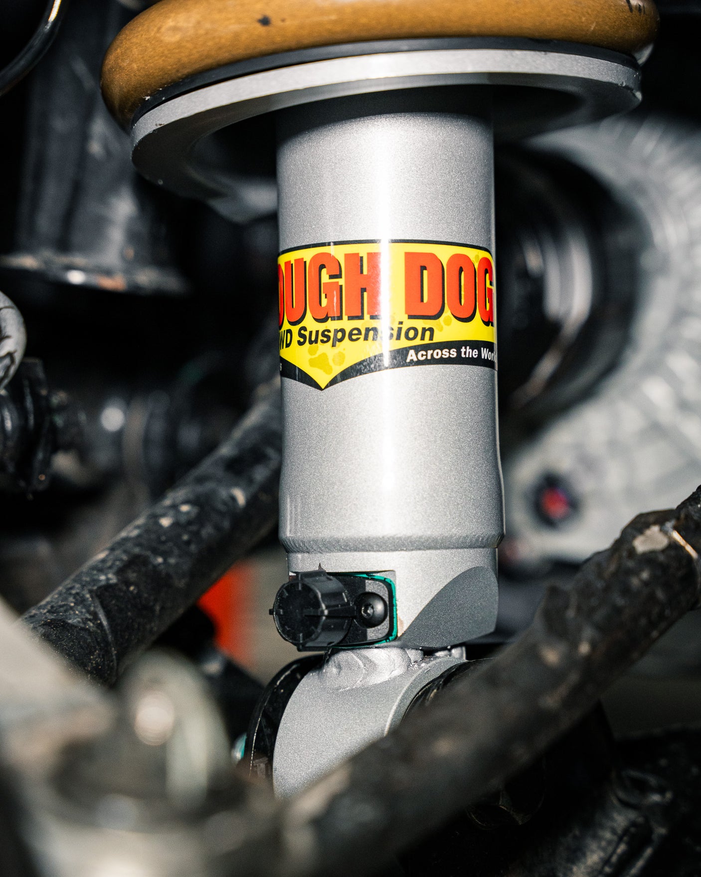 Front Adjustable Struts BYD Shark 6