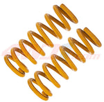 79 Series Toyota LandCruiser front coil springs